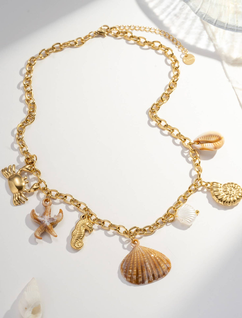 Collier en acier inoxydable à breloques  coquillages