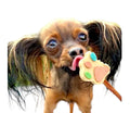 Sucettes en forme de patte pour chiens