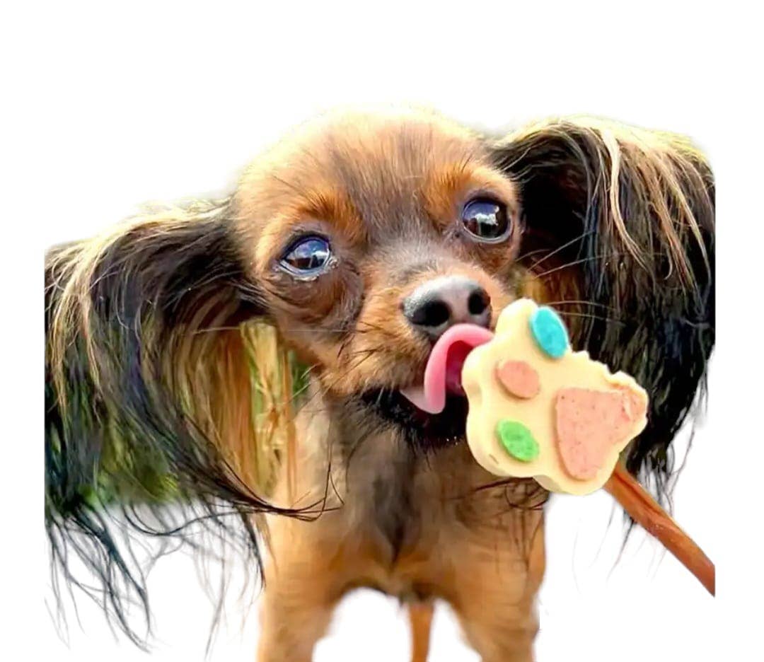 Sucettes en forme de patte pour chiens