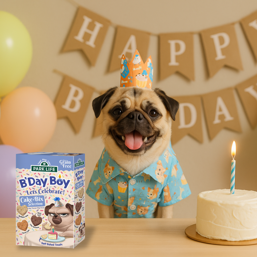 Cake-Bix – Boîte de friandises pour chien « Birthday & Celebration » – Version Garçon