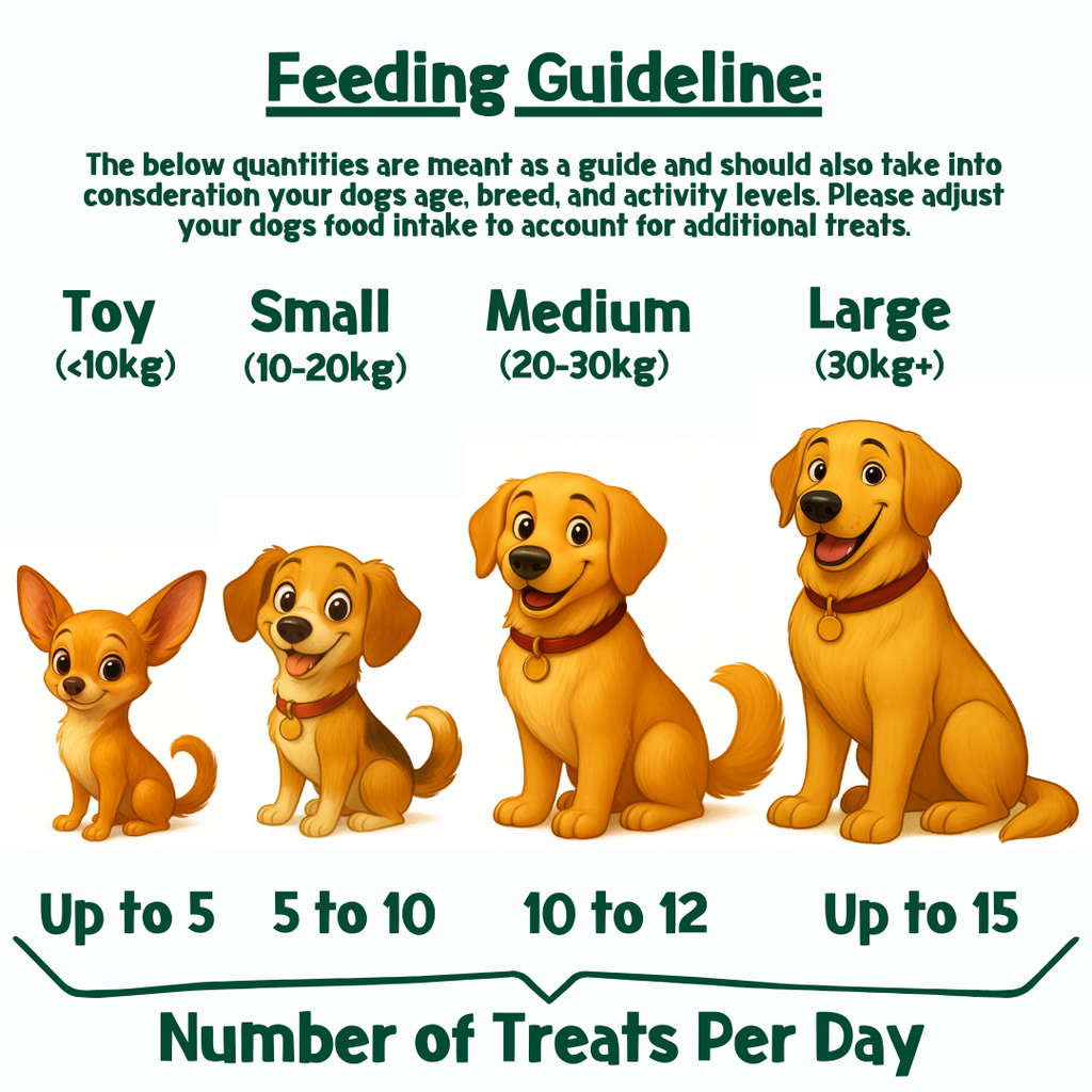Cake-Bix – Boîte de friandises pour chien « Birthday & Celebration » – Version Garçon