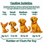 Cake-Bix – Boîte de friandises pour chien « Birthday & Celebration » – Version Garçon
