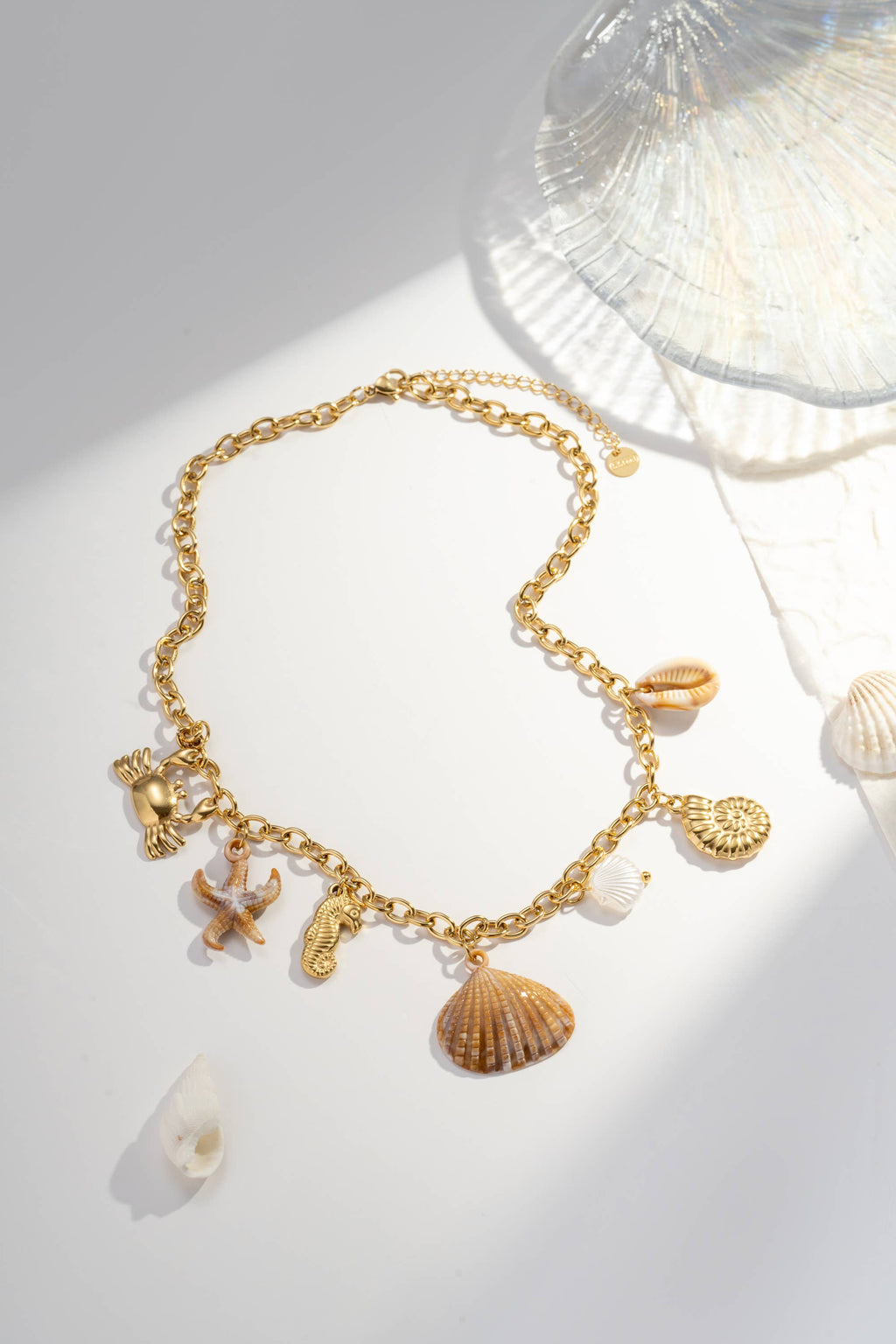 Collier en acier inoxydable à breloques  coquillages