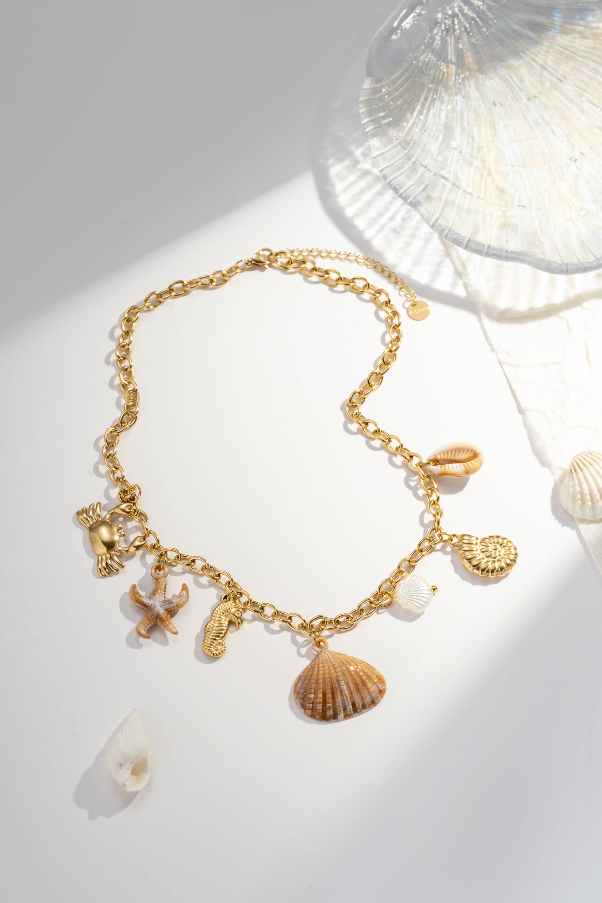 Collier en acier inoxydable à breloques  coquillages