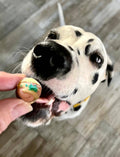 Praline Bella