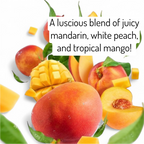 Gommage Sucre Moussant  - Soleil Calypso