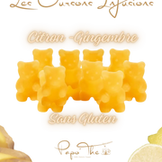 Oursons infusions Citron-gingembre