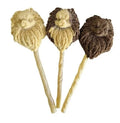 PomChi Lolly pour chiens