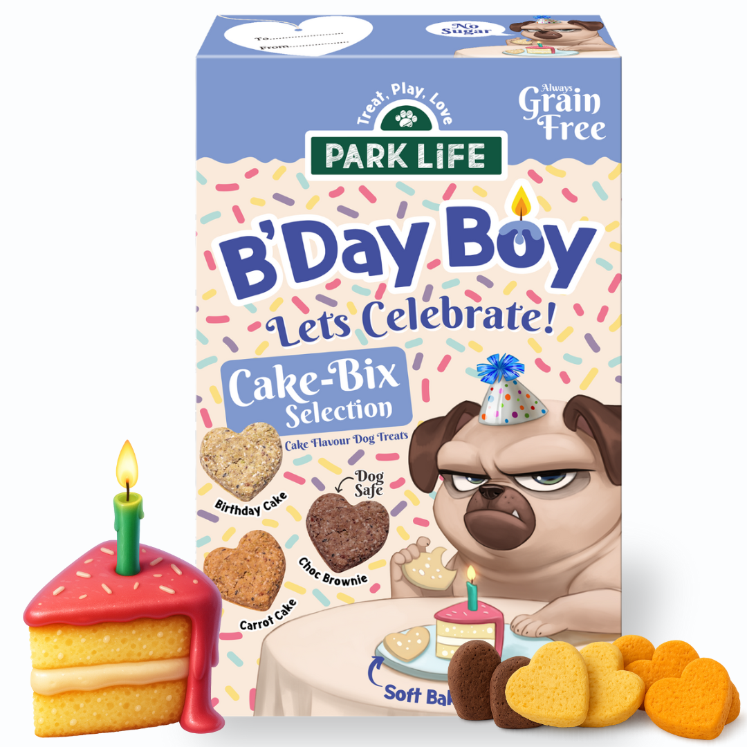 Cake-Bix – Boîte de friandises pour chien « Birthday & Celebration » – Version Garçon