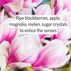 Gommage Sucre Moussant Simple - Mûre Magnolia