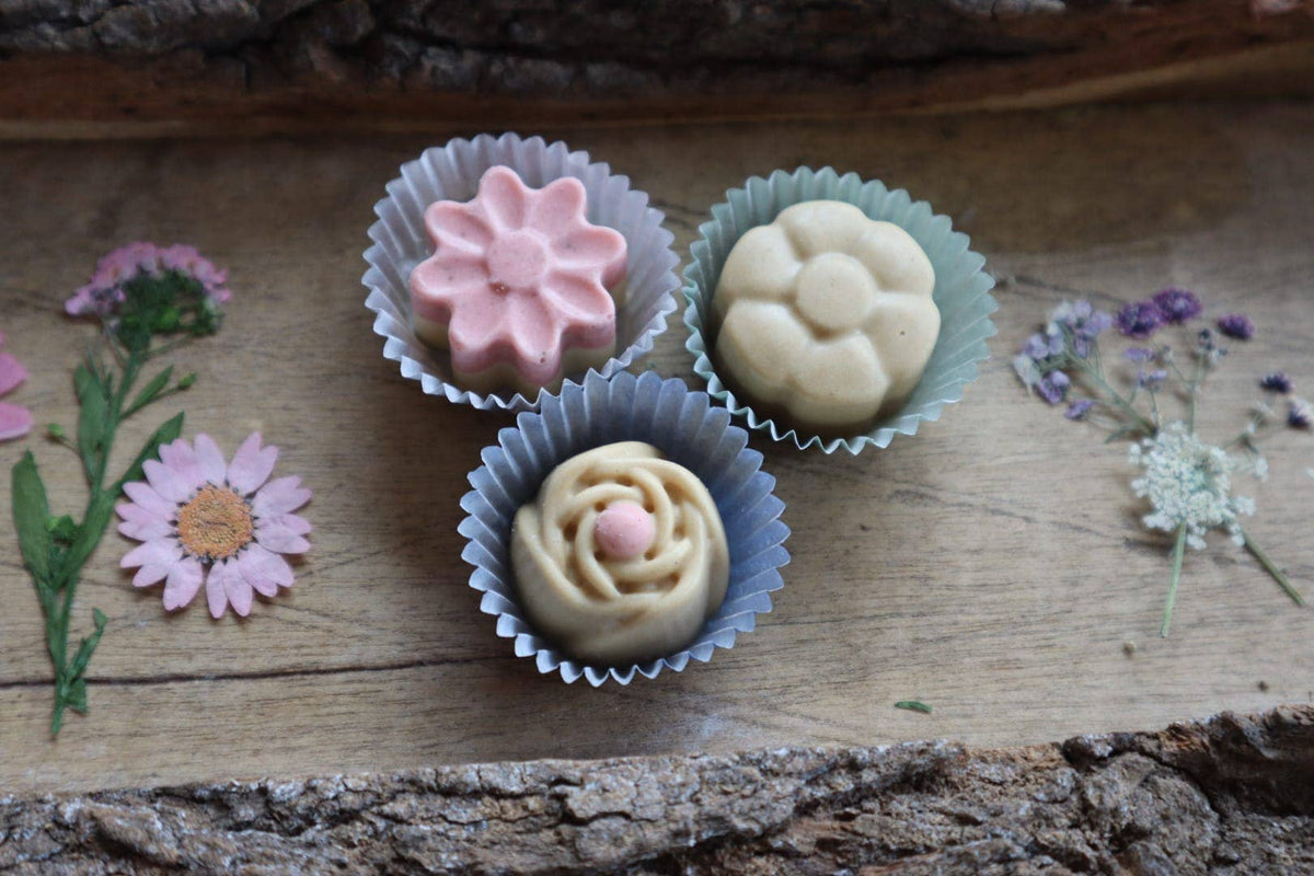DogPraline - Chocolats sucrés pour chiens