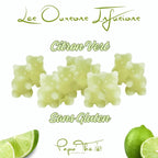 Oursons infusions