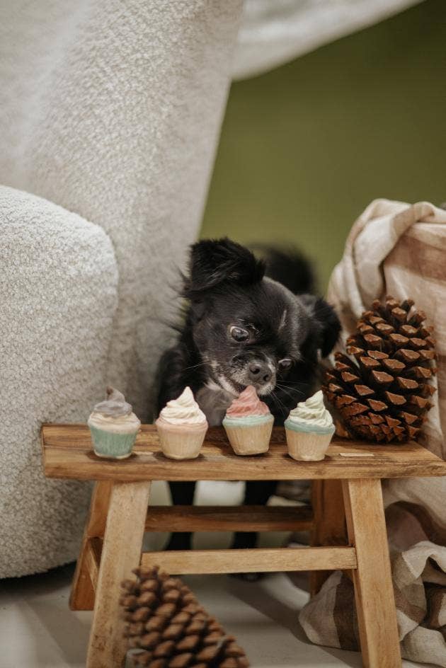 Mini cupcake fourré avec boîte